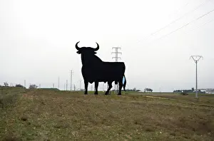 Prieto: The Osborne Bull, Spain