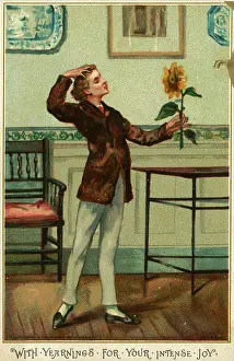 Intense: Oscar Wilde parody, man and sunflower