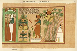 Osiris: OSIRIS-SEKERT