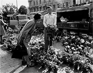 Fussy: OSLO FLOWER STALL