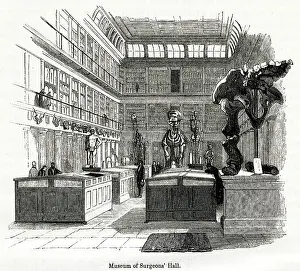 Surgeons: Osteological room in College of Surgeons 1880s