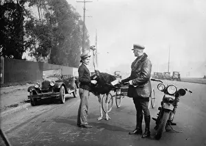 Beeing: An ostrich carriage