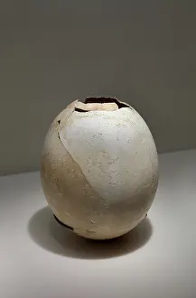 Manama: Ostrich egg shell, Bahrain National Museum, Manama, Bahrain