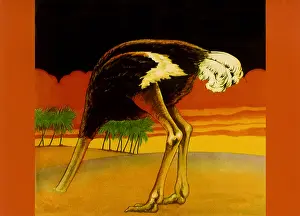 Advertise: Ostrich, Head Planted