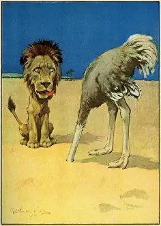 Licks: Ostrich with its head in the sand