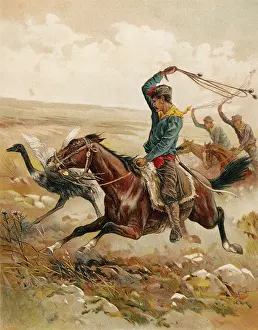 Hoping: OSTRICH HUNT WITH BOLAS