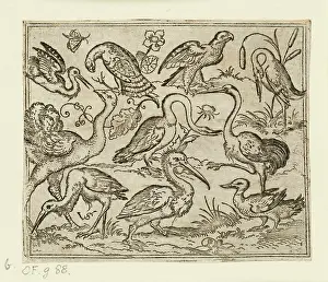 Solis: Ostrich on left side with nine other birds, including a hero