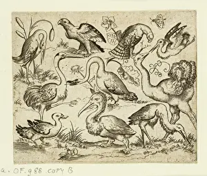 Solis: Ostrich on left side with nine other birds, including a hero