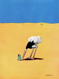 Sayings: Ostrich by Mallett