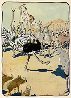 Proudly: Ostrich Parts Crowd