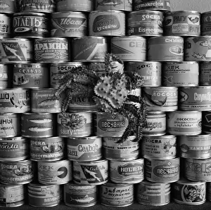 Canned: Ostrovnoi Fish Factory