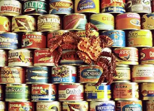 Metelitsa: Ostrovnoi Fish Processing Factory products, 1983