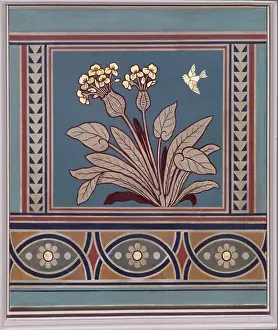 Monocot: Ottelia cordata