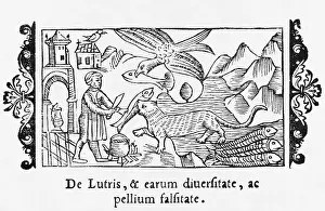Otters: OTTER, FISH & MAN 1555