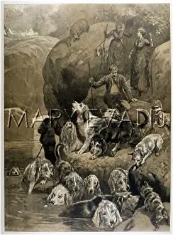 Otters: OTTER HUNT 1887