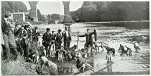 Sportsmen: Otter Hunt 1901