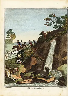 Otterhounds: Otter Hunting, 18th century
