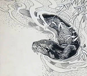 Ripples: Otter swimming