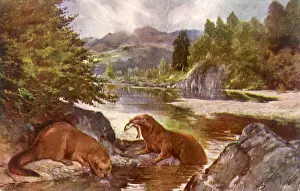 Pines: Otters Fishing