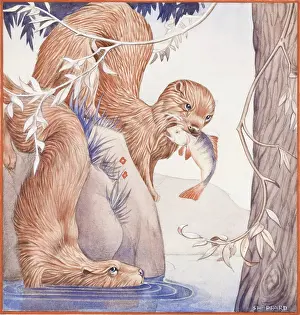 Otters: Otters fishing