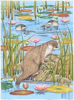 Waterlilies: Otters in a pond with waterlilies
