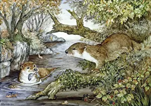 Brambles: Two Otters in a stream