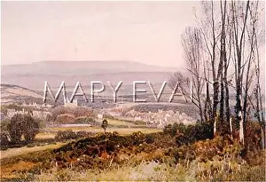 Ottery: OTTERY ST MARY/1919