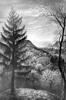 Expressionism: Otto Dix