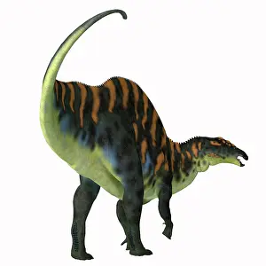Markings: Ouranosaurus dinosaur, white background
