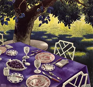 Blackberries: Outdoor Meal
