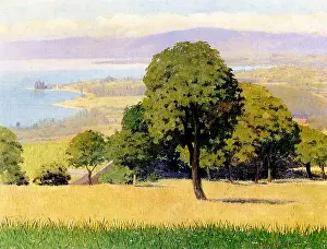 Lausanne: Outskirts of Lausanne