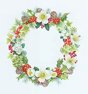 Bordewich: Oval Christmas border