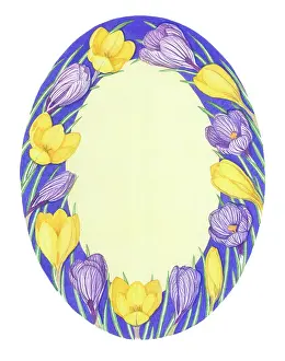 Mclaughlin: Oval Crocus border