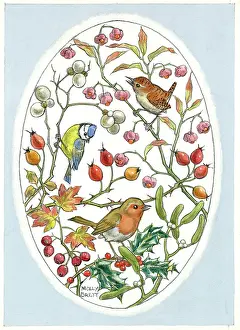 Bluetit: Oval design with bluetit, robin, wren and berries