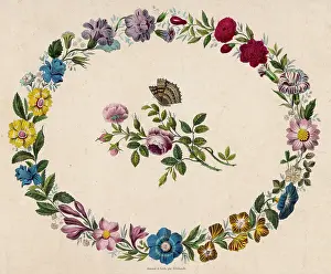 Carnation: Oval Floral Border