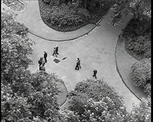 Planted: An Overhead Shot of Pedestrians Walking Along