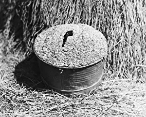 Costs: Overproduction of wheat, 1934