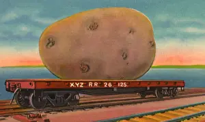 Veggie: Oversized Potato