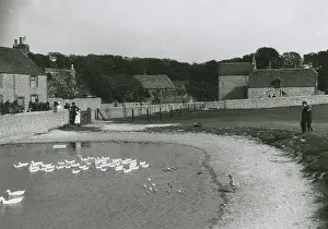 Duckpond: Ovingdean, Sussex, 1900