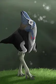 Oviraptorid: Oviraptor