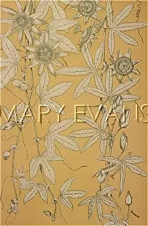Tendrils: OWEN JONES FLOWERS 100