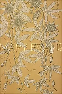 Tendrils: OWEN JONES FLOWERS 100