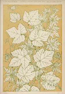 Traced: Owen Jones Flowers 92
