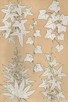 Traced: Owen Jones Flowers 93