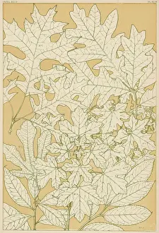 Traced: Owen Jones Flowers 94