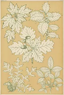 Traced: Owen Jones Flowers 95