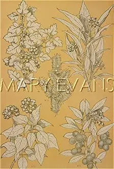 Traced: OWEN JONES FLOWERS 97