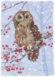 Hawthorn: Owl on a hawthorn branch in the snow