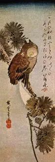 Hiroshige: Owl in Moonlight