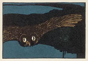 OWL AT NIGHT
